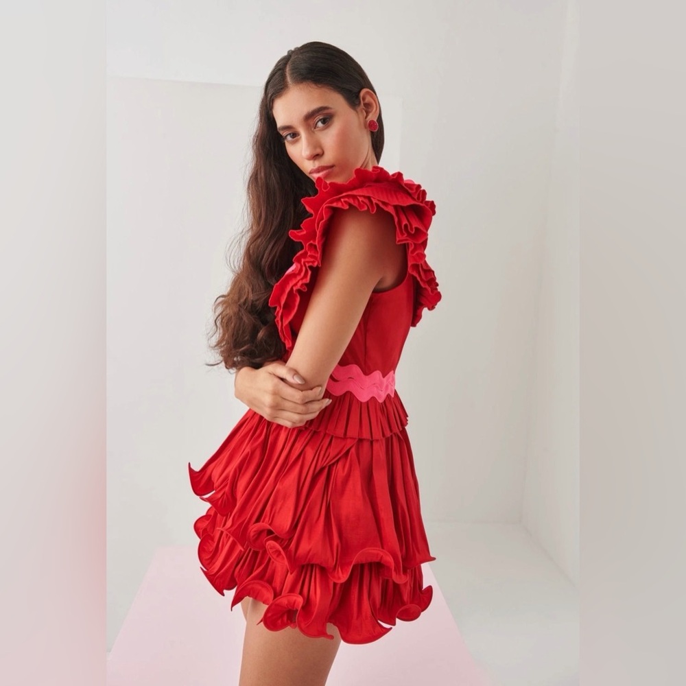 Red and Pink Ruffled Women's Dress - Picture 3 of 11